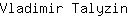 V***n