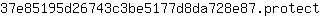 3***t