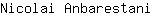 N***i