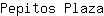 P***a