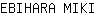 E***I