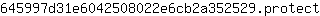 6***t