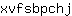 x***j