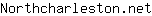 N***t