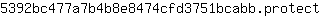 5***t