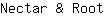 N***t