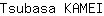T***I