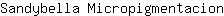 S***n