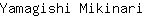 Y***i