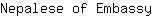 N***y