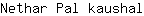N***l