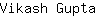 V***a