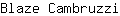 B***i