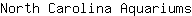 N***s