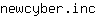 n***c