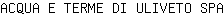 A***A