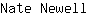 N***l