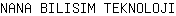 N***I