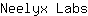 N***s