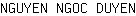 N***N