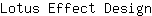 L***n