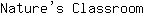 N***m