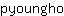 p***o