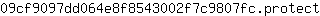 0***t
