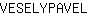 V***L