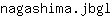 n***l