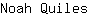 N***s