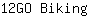 1***g