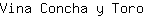 V***o