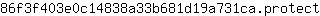 8***t