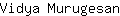 V***n