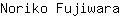 N***a