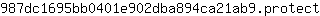 9***t