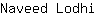 N***i
