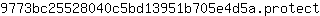 9***t