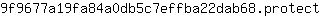 9***t