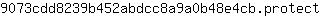 9***t