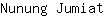 N***t