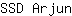 S***n