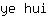 y***i