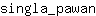s***n