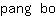 p***o