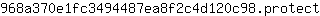 9***t