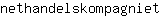 n***t