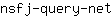 n***t