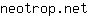 n***t